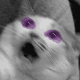 LEEEEEEEUIUI