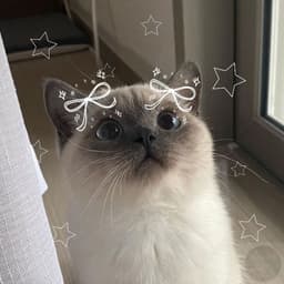 dohyeon