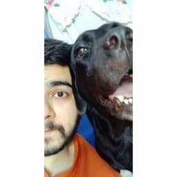 Harshvardhan03