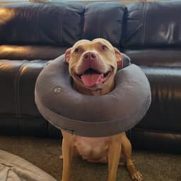 dsl